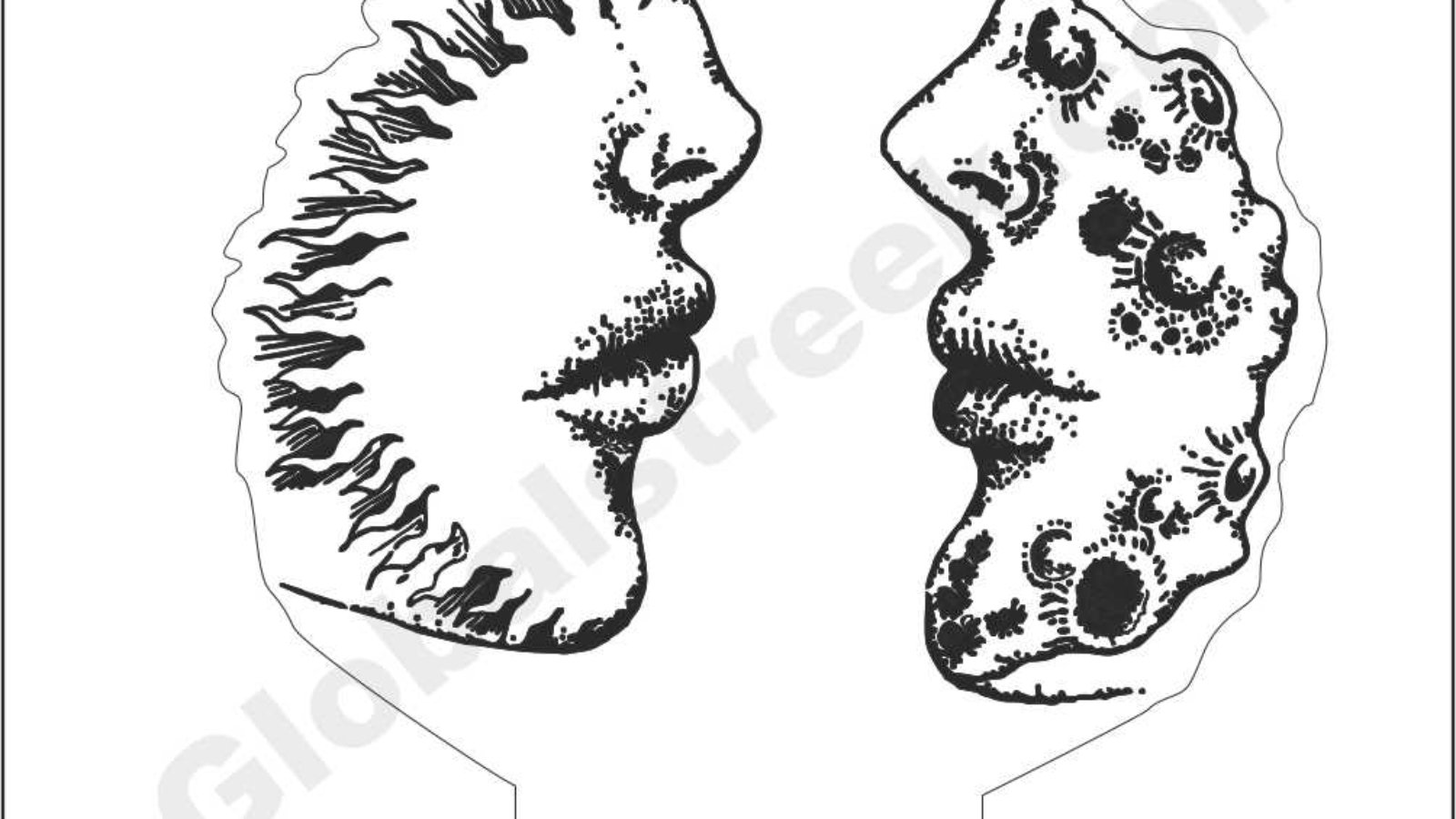 face-illusion-lamp-free-dxf-file-download.jpeg