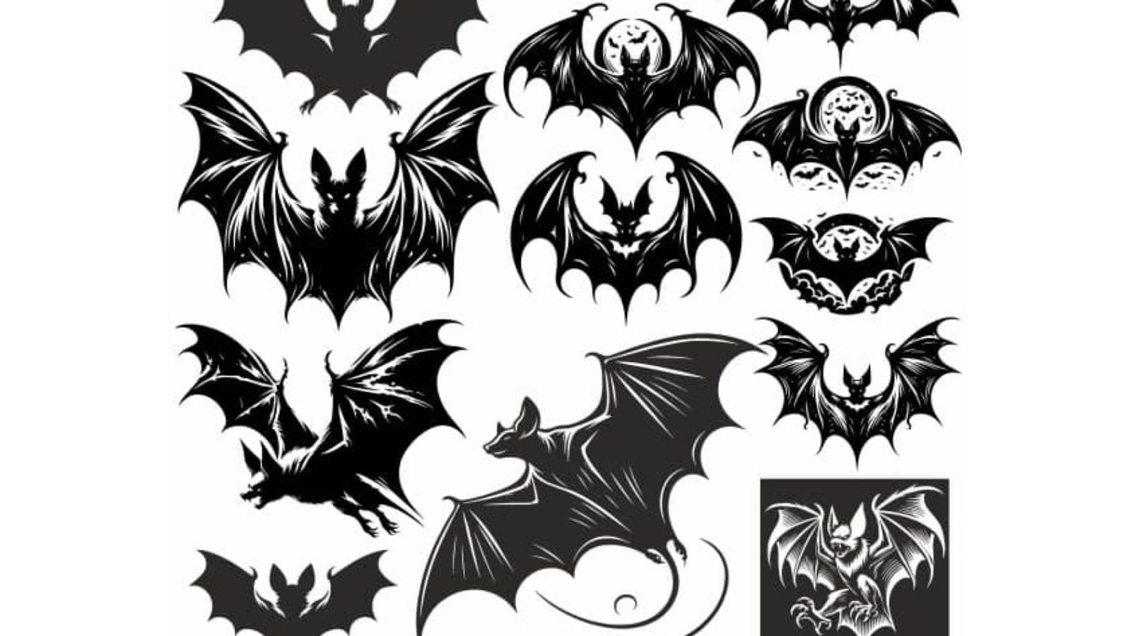 bats-vector-design-image.jpeg