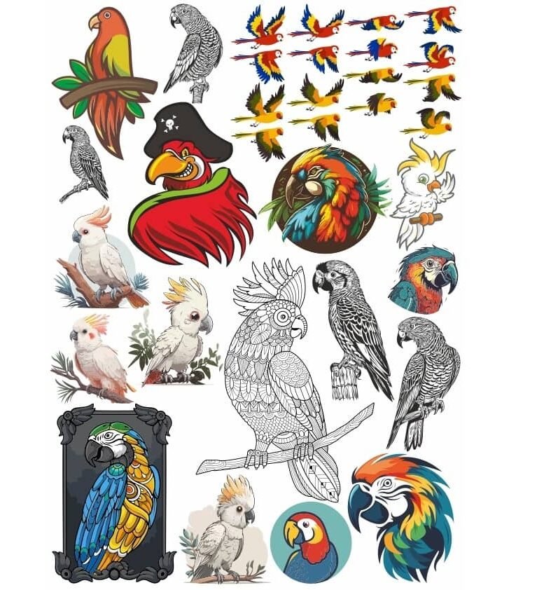 parrots-print-vector-file-free.jpeg