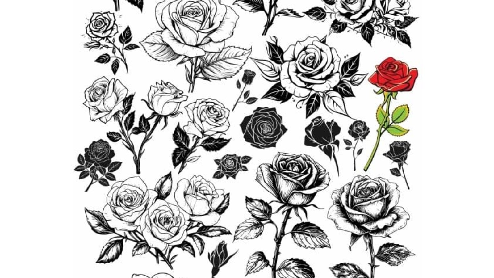 roses-flowers-vector-file-print-engrave.jpeg