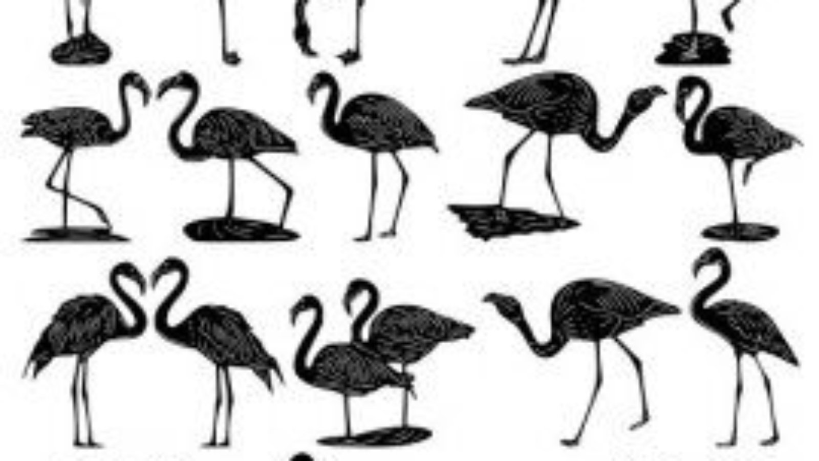 flamingo-vector-laser-cutting-file.jpeg