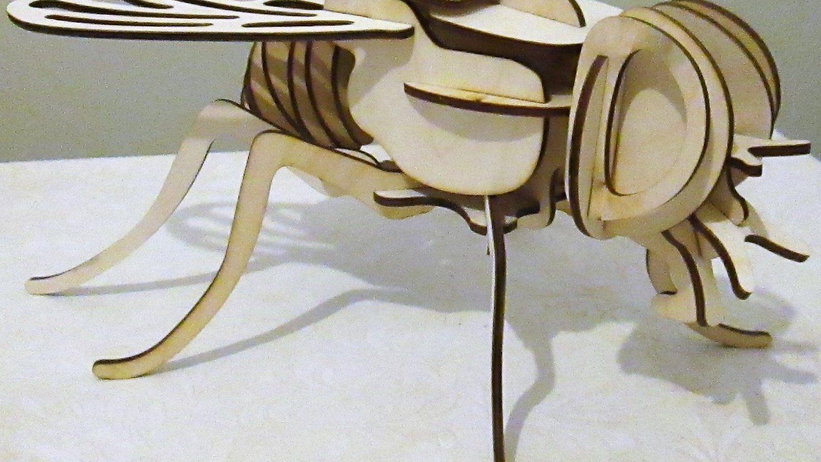 Fly-3d-puzzle-free-laser-cutting-template.webp
