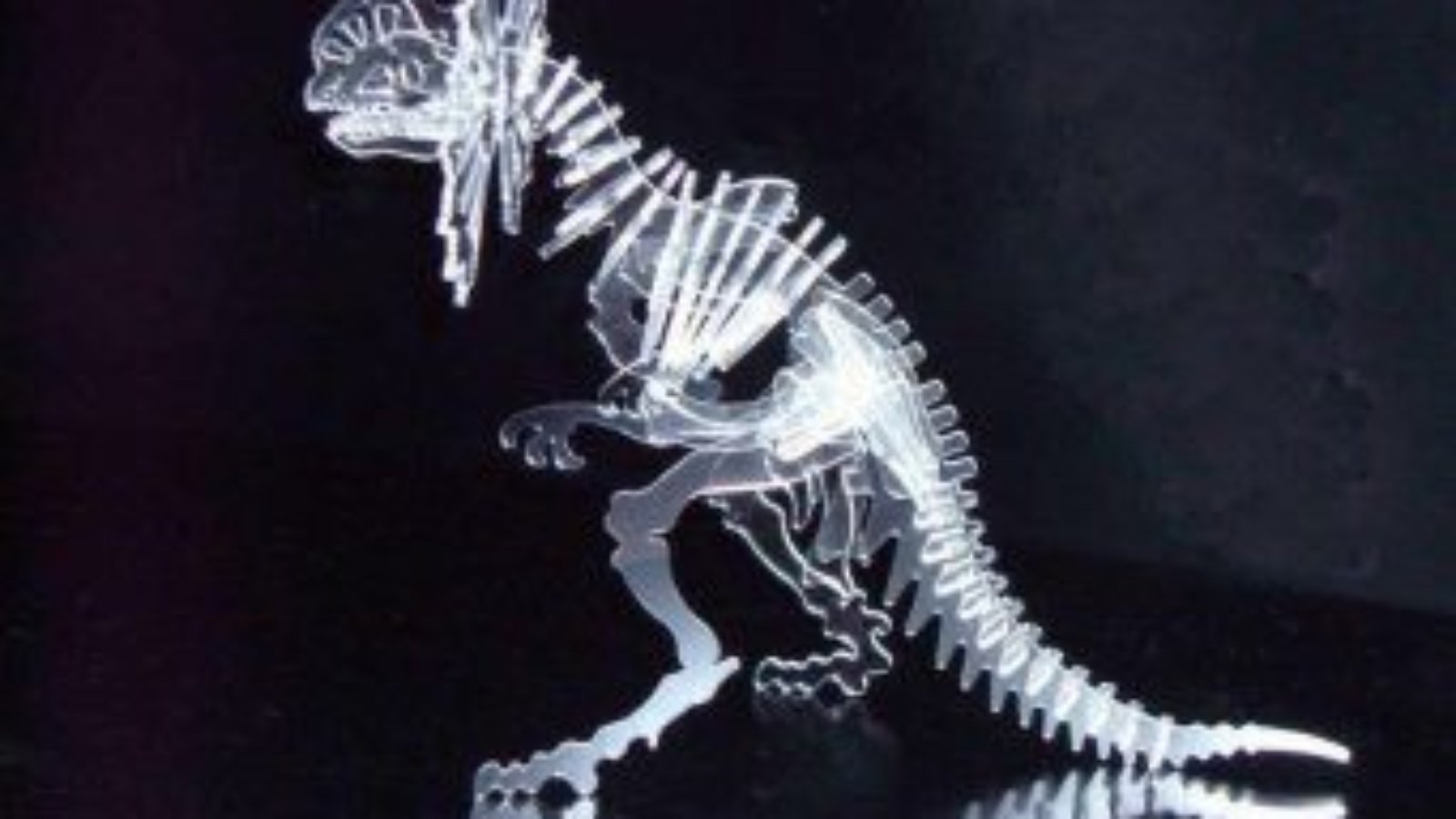 Ceratopsir-free-laser-cut